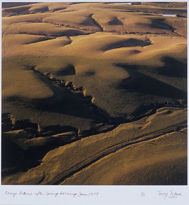 Terry Evans (American, b. 1944) Konza Prairie after Spring Burning, 1979 Chromogenic photograph Georgia Museum of Art, University of Georgia; Gift of Hilda and Arden O. Lea in memory of Mark A. Lea GMOA 2001.84