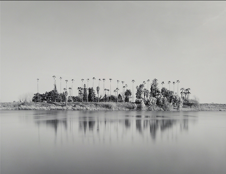 Robert Dawson (American, b. 1950) Delta Farm, Sacramento River, California from The Great Central Valley Project, 1984 Gelatin silver print Georgia Museum of Art, University of Georgia; Benefit of annual membership in the Friends of Photography, 1989 GMOA 1990.45