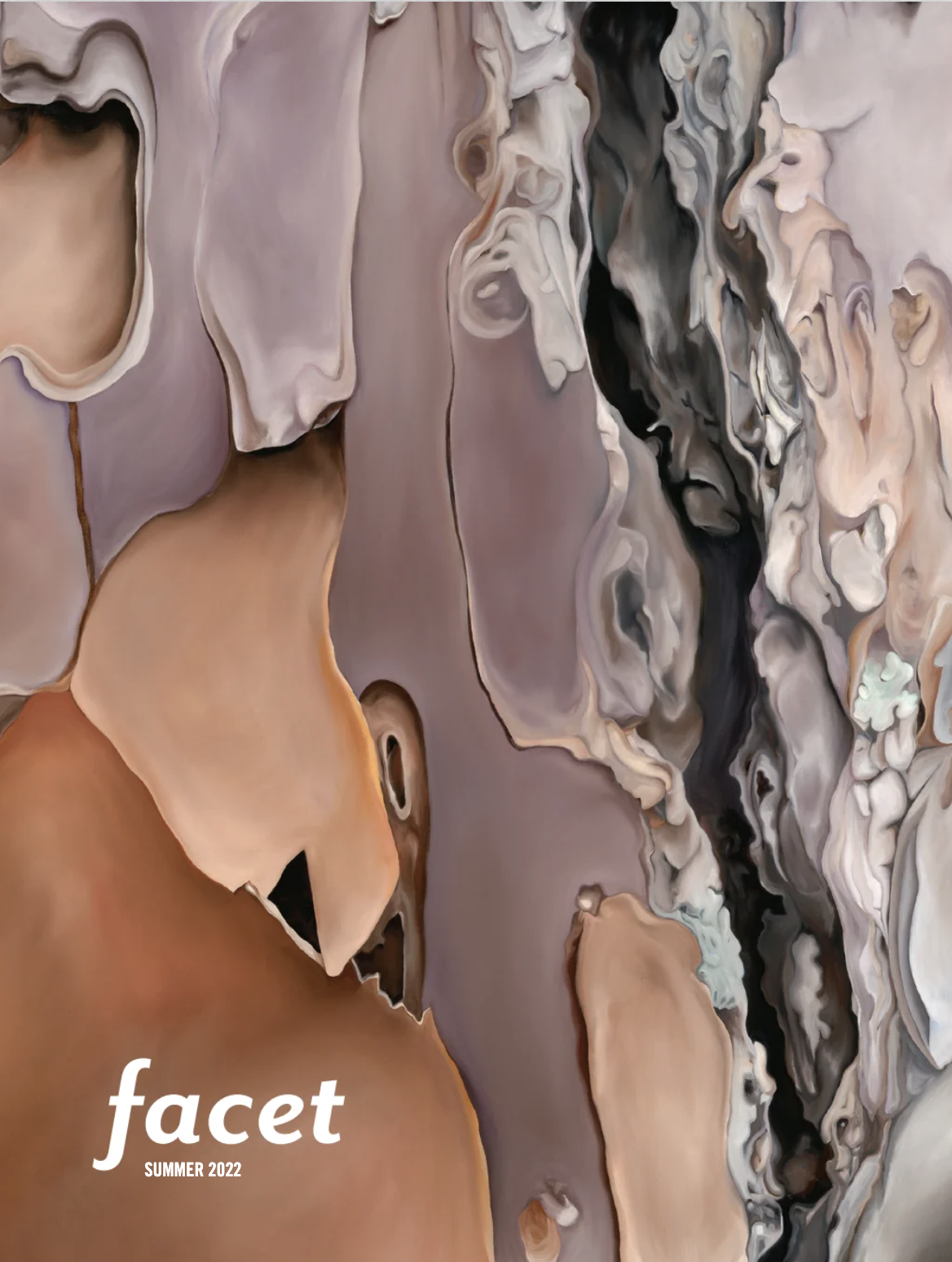 Facet Cover Image