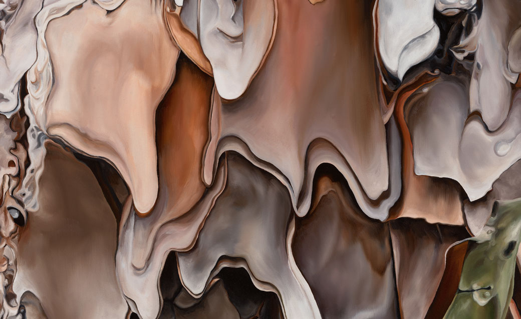 detail of one of Kristin Leachman's paintings of longleaf pine bark
