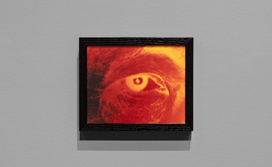 one of Kei Ito's cameraless photos of a close-up of an eye, in red and yellow